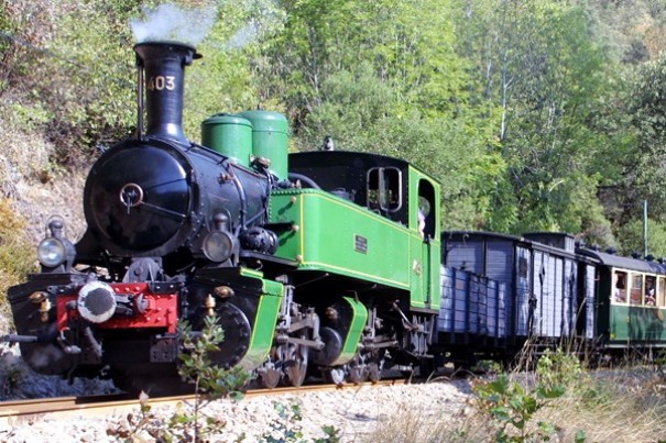 Train de l'Ardèche, Mastrou
