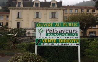 Pélisaveurs