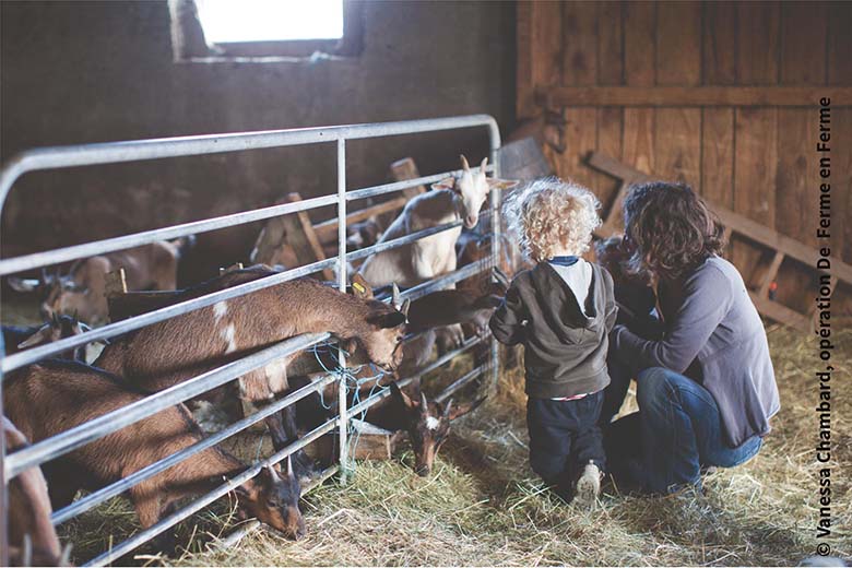 De ferme en ferme 2015