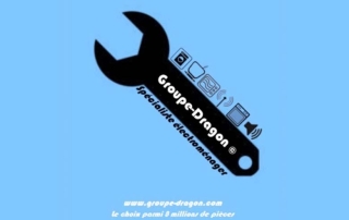 Groupe Dragon