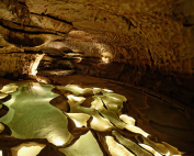 Grotte Saint Marcel Ardeche