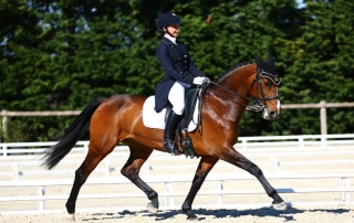 Privas Equitation