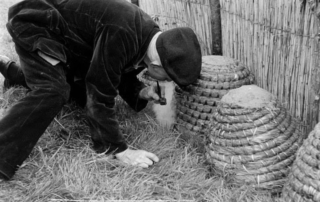 Apiculture paniers