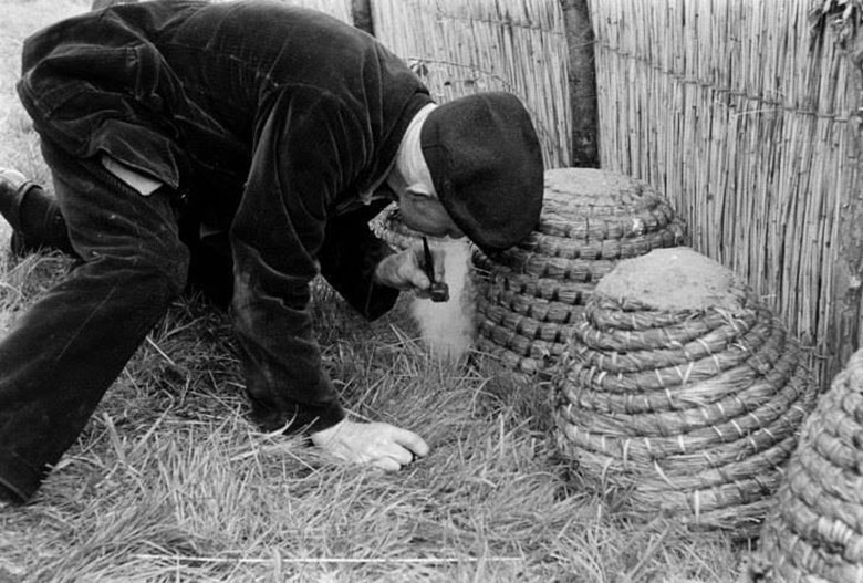 Apiculture paniers