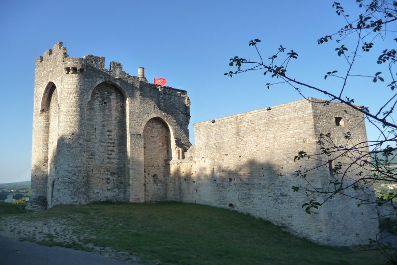 Le Château - Cruas - Ardeche-actu - 2016